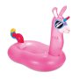 Pool Float Llamacorn Ride-on