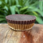 Peanut Butter Cup Frozen Jamys Dessertery