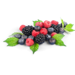 Harvest Berry Concentrate - 100ML