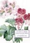Tin Box Of 20 Gift Cards And Envelopes: Redoute Geranium cards