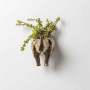 Rhino Wall Planter Head/tail - Bronze / Head