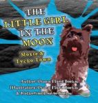 The Little Girl In The Moon - Moxie & Tycho Town Hardcover