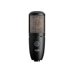 Perception P220 Large Diaphragm Condenser Microphone