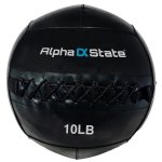 Alphastate Wall Balls - 20LB