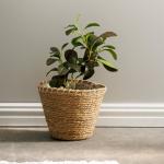Rush Rimmed Lined Planter Basket White