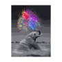 Adult Painting By Numbers - Elly Colour Canon