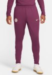 Nike Men's Psg Dri-fit Strike Pant - Bordeaux