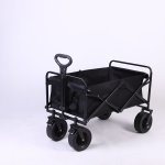 Beach Wagon Trolley With Brake 100KG Afritrail