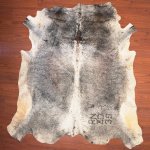 Aas Grade Nguni Hide 161 Tricolour XL - Extra Large Tricolour Speckled