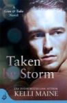 Taken By Storm: A Give & Take Novel Book 2 Paperback