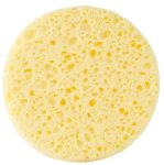 Organic Vegetable Sponge