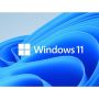 Windows 11 Professional For Entry Devices Tablet 2-IN-1 Notebook Desktop All-in-one With Low End Cpu Atom Celeron