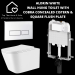 Aldrin White Wall Hung Toilet With Cobra Concealed Cistern & Square Flush Plate