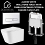 Aldrin White Wall Hung Toilet With Cobra Concealed Cistern & Square Flush Plate