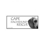 Cape Dachshund Rescue
