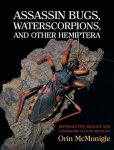 Assassin Bugs Waterscorpions And Other Hemiptera: Reproductive Biology And Laboratory Culture Methods
