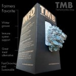 Blue Oyster – Mushroom Box