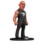 Minix Deportes: Wwe – The Rock
