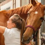 Animal Healthcare Business