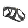 Flagline Harness - Xxs & XS - XX Small / Granite Grey