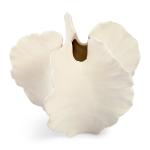White Shell Vase