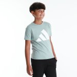 Adidas Boys Big Logo Essential Tee