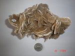 Desert Rose Sand Rose SPE24