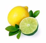 Lemon Lime Concentrate - 10ML