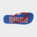 Puma First Flip Optical _ 173823 _ Blue - 10 Blue