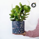 Terrazzo Pot - Luna - 13CM Inner Diameter
