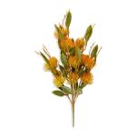 Orange Pin Cushion Bunch