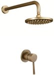 Fixed Mount Shower Head