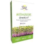 My Growing Health Broccoli Microgreen Kit