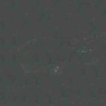 Soft Pastel - Warm Gray 451