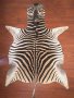 A Grade Zebra Hide 036 L