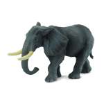 Wildlife African Elephant