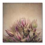 Blushing Brides Square 2 Art Print - 30 X 30CM No Frame Print Only