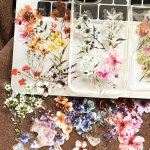 50PCS Transparent Flower Stickers Pet Plant Floral Decals For Scrapbooking Journaling Diy Crafts Guitar Notebook Decoration