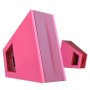 Microlab FC10 2.0 Ch Speaker With Dsp-pink