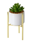 Artificial Succulent In Gold Stand - None Succulent