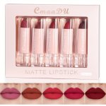 5PCS Lipstick Set Waterproof Velvet Matte Lipstick Lip Gloss Lip Liner And Lipstick Set Lasting All Day Chestnut Nude Dark Brown