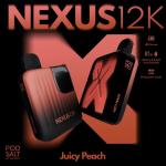 Disposable Nexus Pod Salt 12K Puffs
