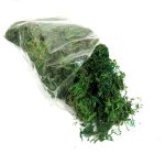 Moss Green Clear Bag Small