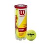Wilson Championship Tennis Balls Extra Duty