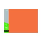 Folders Tag Manilla 180GSM Tf 100