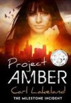Project Amber - Milestone Book 2 Hardcover