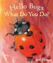 Hello Bugs What Do You Do?   Board Book