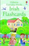 Everyday Words: Irish Flashcards Novelty Book New Edition