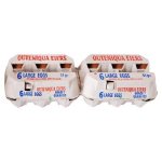Outeniqua Large Eggs 6 Pack