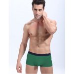 Sexy Green Short Type